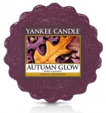 Yankee Candle Vosk do aromalampy Autumn Glow 22 g
