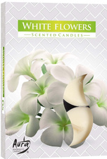 Bispol Aura čajové svíčky - White Flowers 6 ks