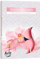Bispol Aura čajové svíčky - Wild Orchid 6 ks