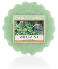 Yankee Candle Vosk do aromalampy Wild Mint 22 g