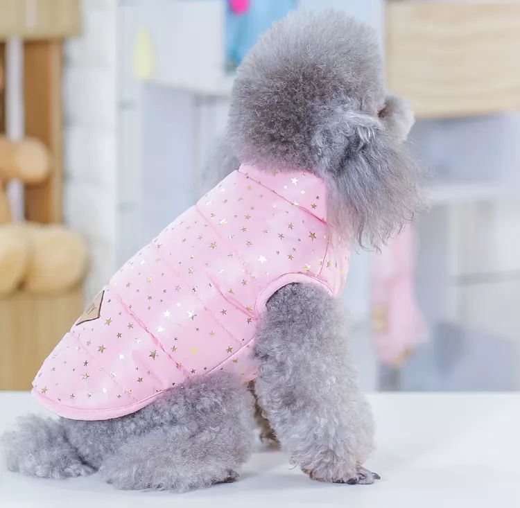 Zimní vesta pro psa Baby Pink